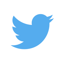 twitter badge